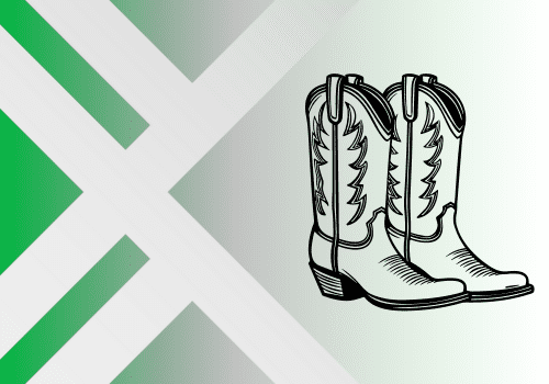 Calzado | FlexMax Perú